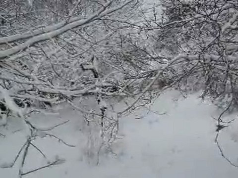 Ağabey Köyü Kış Manzarası