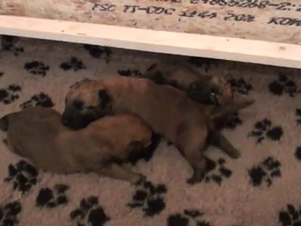 20120126133436