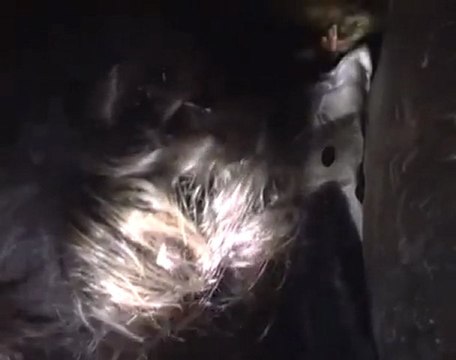 فري برس كرم الزيتون طفل تم انتشاله من تحت الانقاض 25 1 2012