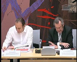 Audition de Xavier Niel, Commission des affaires économiques