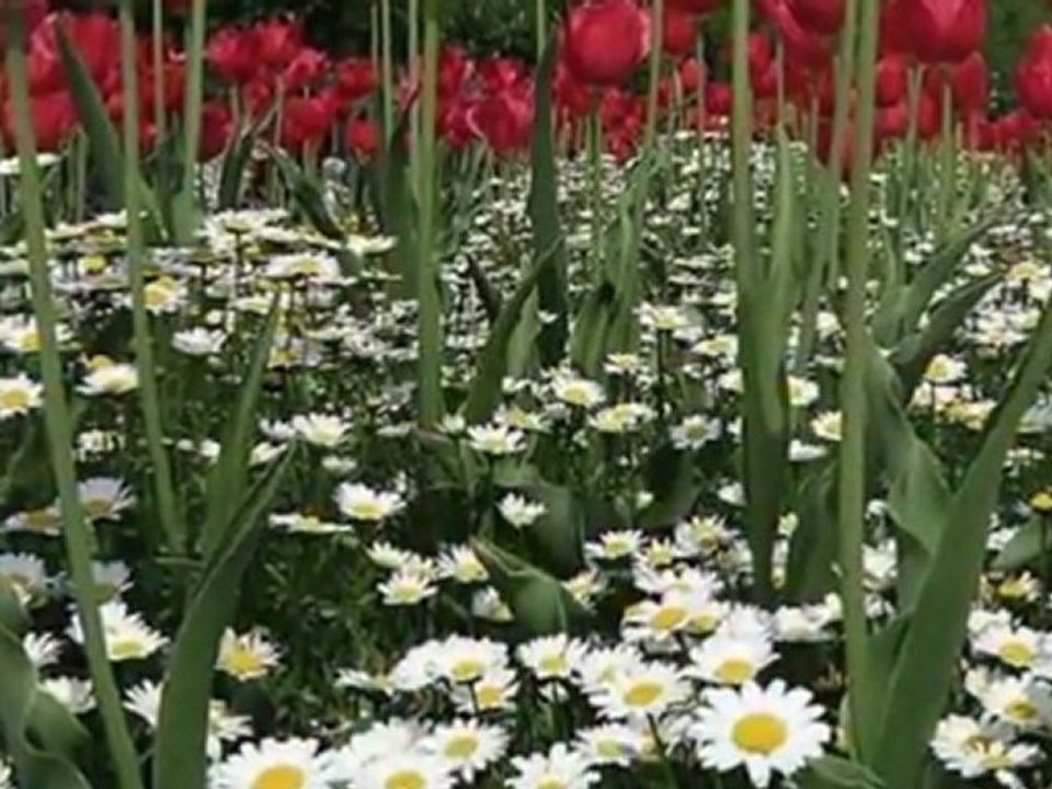 HÜSEYİN TURAN-YARİN OLAYIM