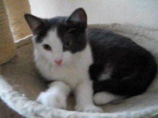 Gloups : 3ème séance de sociabilisation