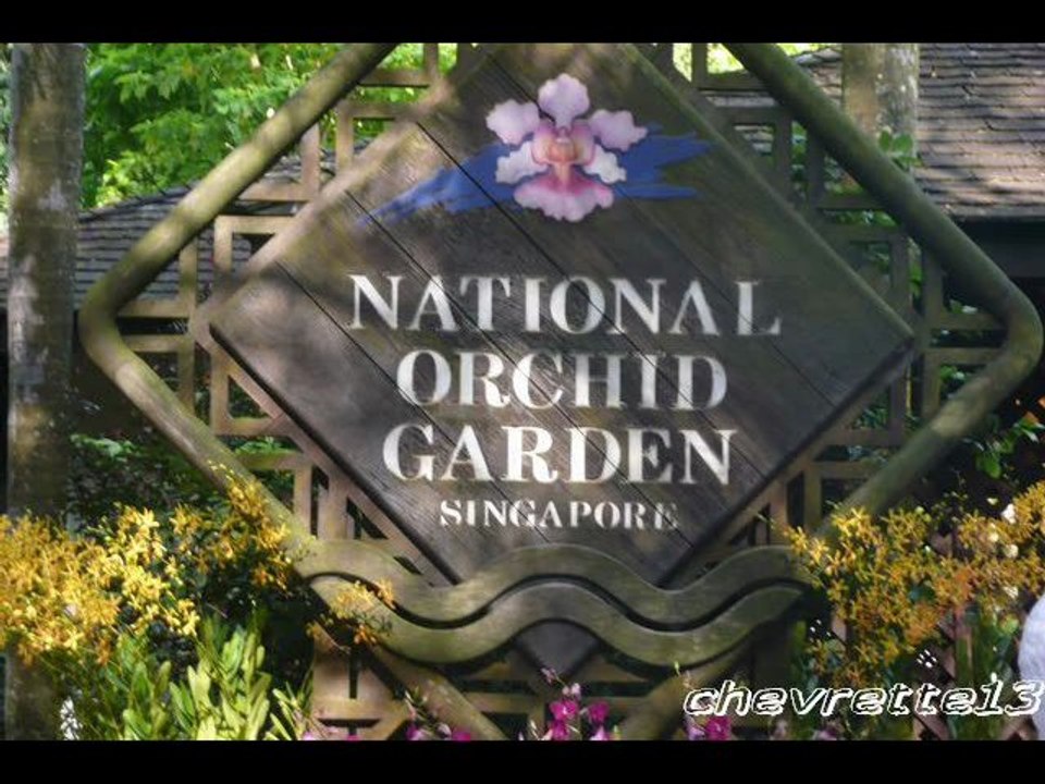 jardin des orchidées_0001