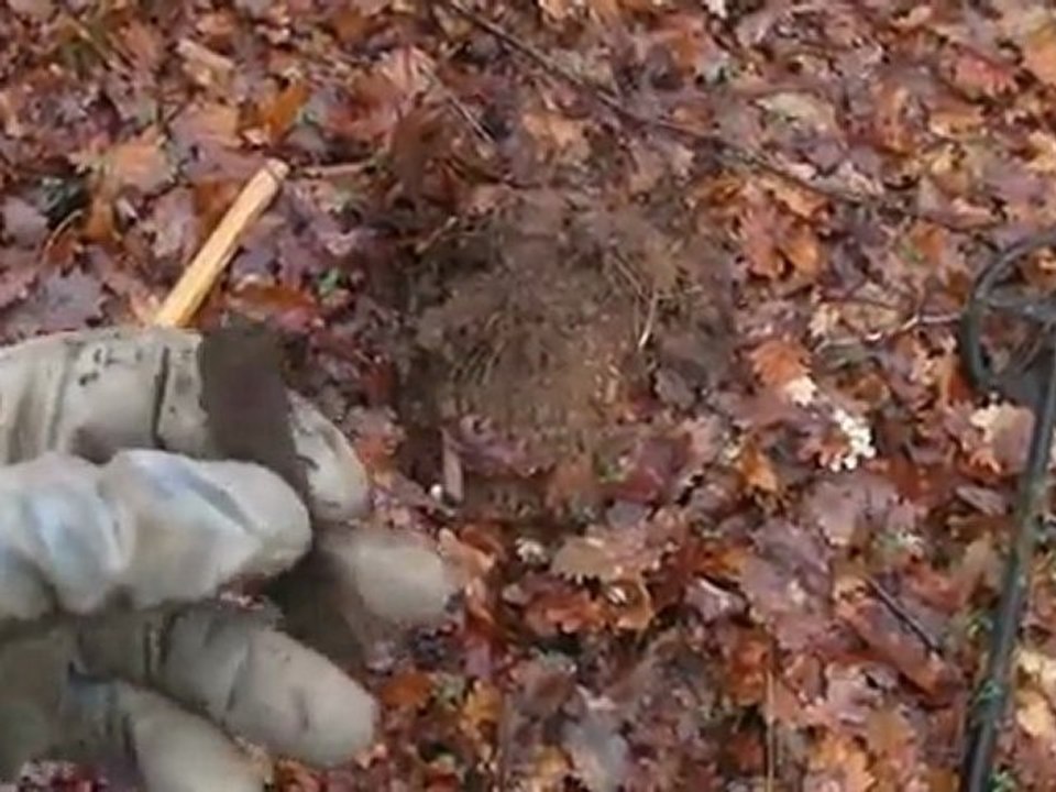 sortie du 2012-01-26