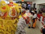 Hong De - Lion Dance - Champion Law-Wai