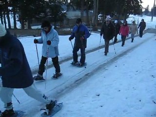 Semaine hivernale 2012 de la Ligue