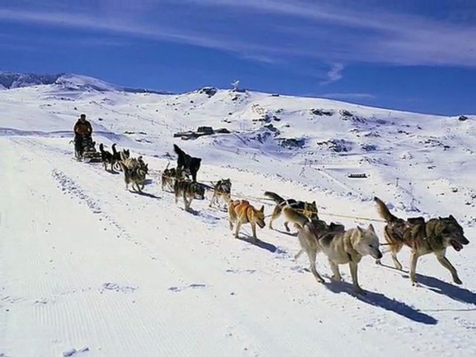 Sad Moon (OST Wolf's Rain) - Yoko Kanno