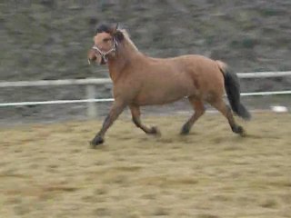 sérénade et ophélie