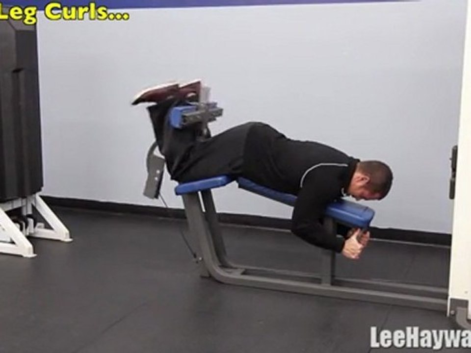 Beginners Leg Workout Program