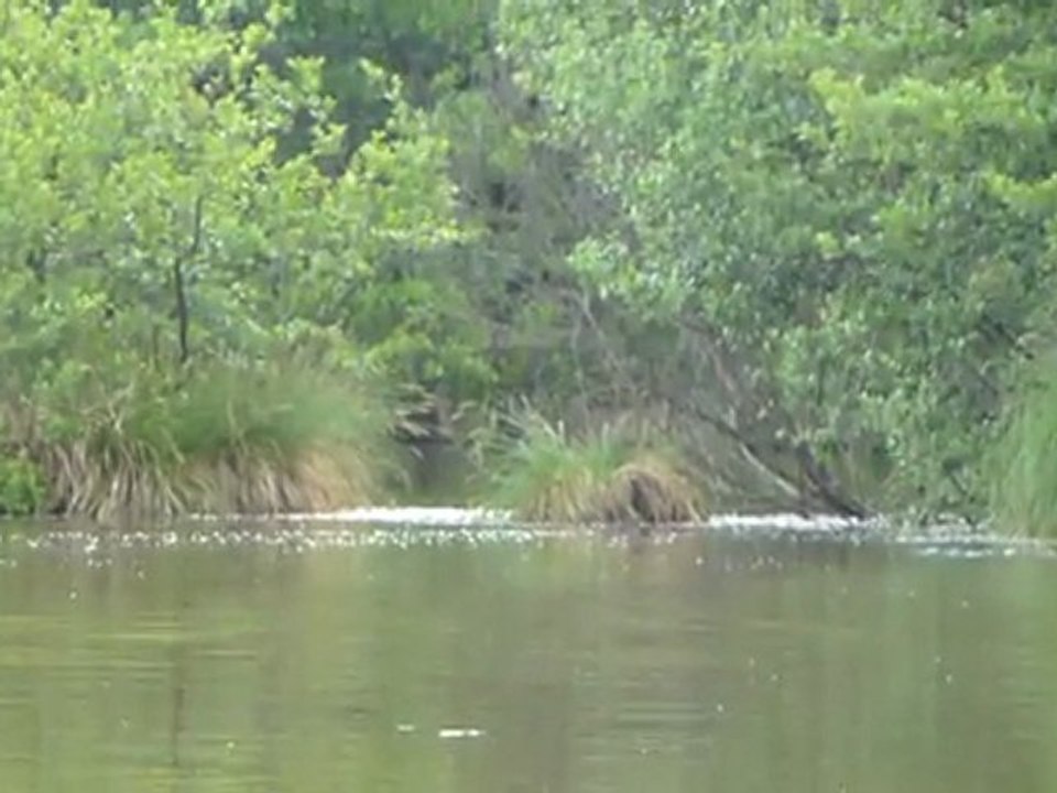 03-Frankrijk2011