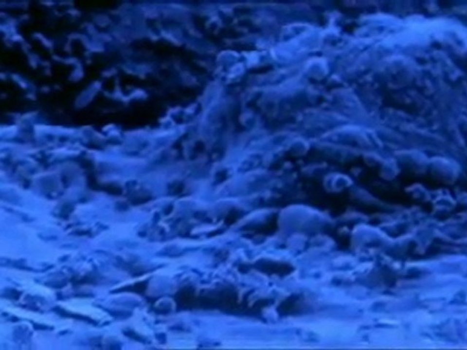 Incroyable Corps Humain - Part 3/3