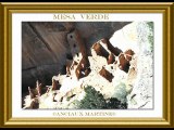 ©MESA VERDE POEME THOMAS ANDRE PHOTOS-PHOTOS-PEINTURES MARTINE ANCIAUX©