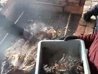 Taking the Whole Hog Off the cooker Myron Mixon Memories Class