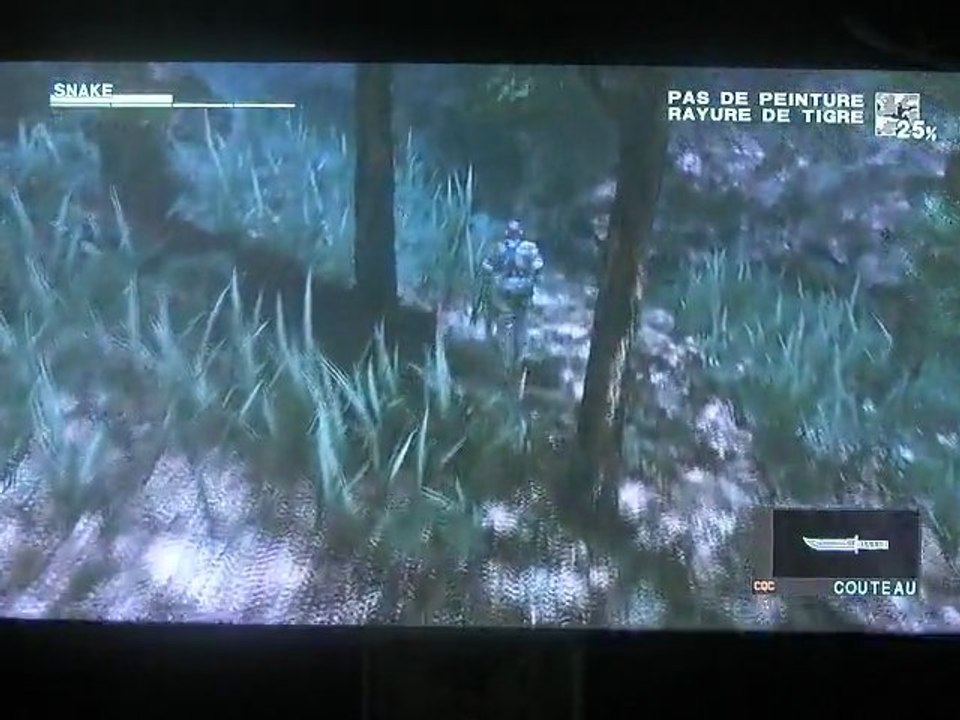 Test Métal Gear Solid 3 HD