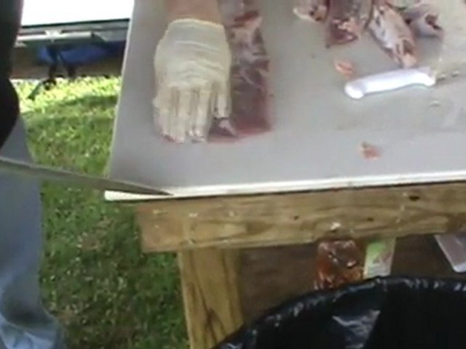 Unknown BBQ in Winter Haven Florida