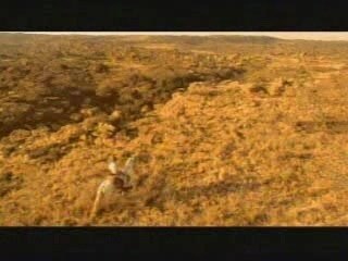 Western, Cow-boy solitaire