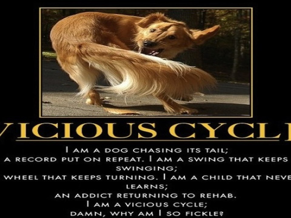 Vicious Cycles  Episode 9 - Better Late Than Never - Late Night Comedy BLTN