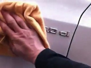 All Purpose Cleaner Removing bugs _ Waterless Car Wash Fende