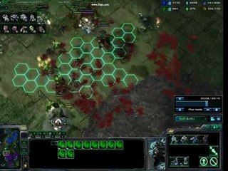 nettoyage de terran par un zerg