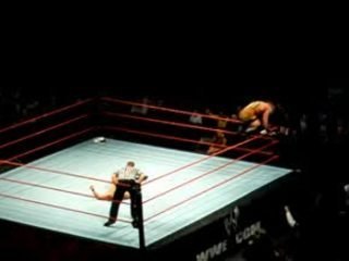 Five Stars Frog Splash Bruxelles