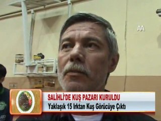 SALİHLİ’DE KUŞ PAZARI KURULDU 23.01.2012