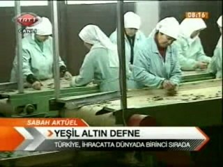 Silifke, Defne Yaprağı 'Yeşil Altın' TRT EKRANLARINDA