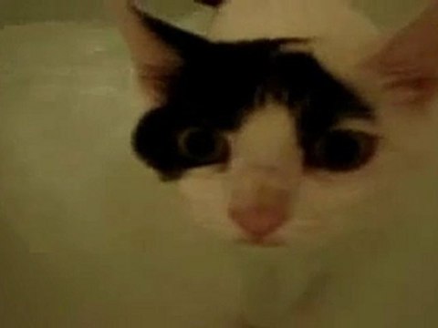 cheap louis vuitton bags dressesstop.com (15)