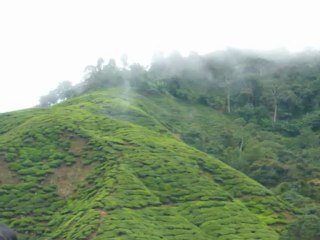 CAMERON HIGHLAND TRIP  2010 BY SMSM FAMILY ASSOCIATION