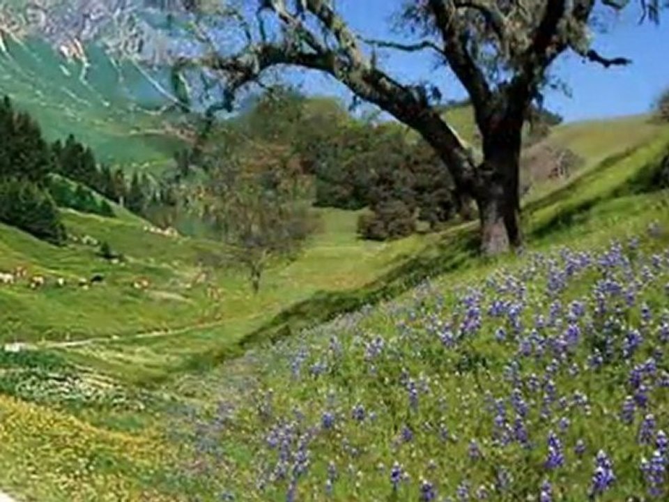 İLYAS SALMAN-KAYANIN DİBİNDE MALMI YAYILIR