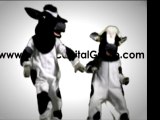 Apple Capital Group Dancing Cows