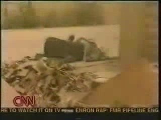 Having Fun, Killing People