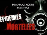 Des animaux mortels parmi nous[épidémies mortelles.2]