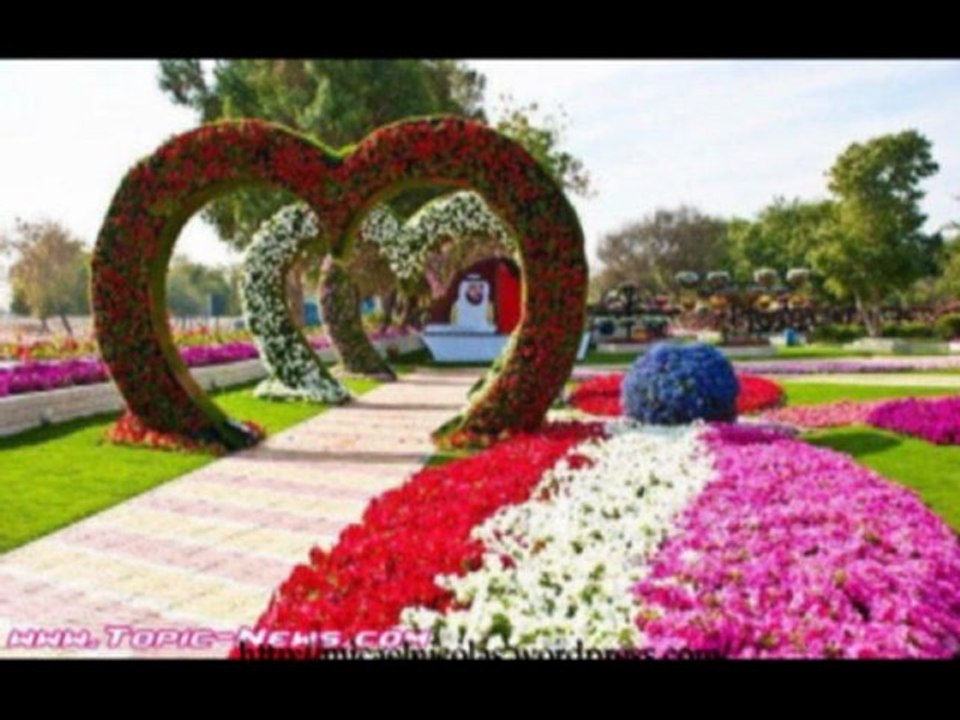 CATALIN  MARUTA (n,27.01.78 )  --  La multi ani  !