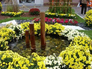 FESTIVAL DE CHRYSANTHÈMES