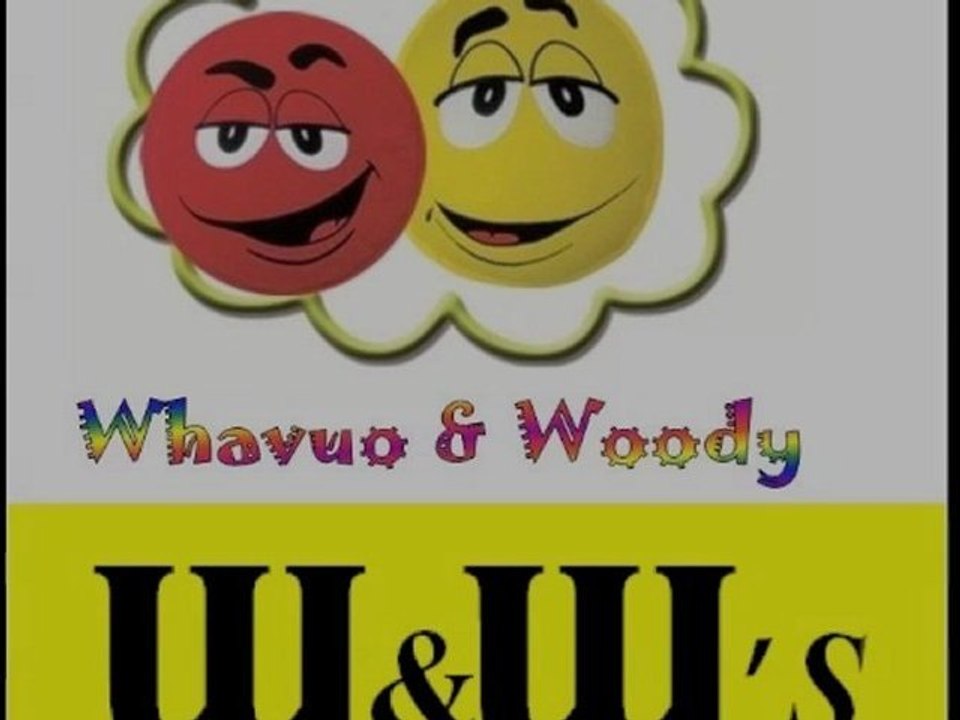 Les W&W's chantent Megaupload (parodie With or Without You)