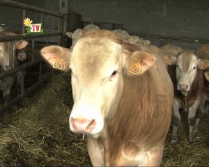 JT agri85TV du vendredi 27 janvier 2012