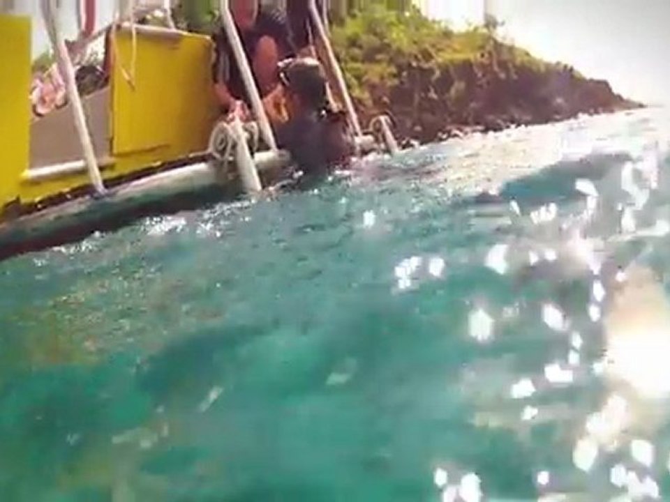 Guadeloupe Trotter - Jour 8 - Plongée dans la réserve Cousteau