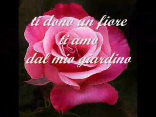 Il sole sta alla terra 3