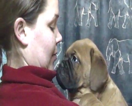 Kiss de L'Exigence (9 semaines ) Crack/Sévilla