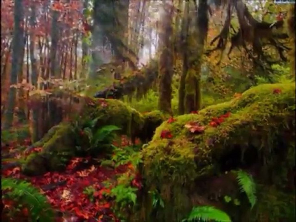 Christmas Message. Jesus Sananda EN