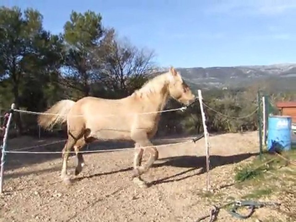 paco en folie!