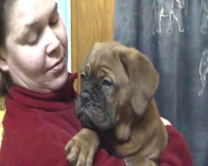 Kanon de L'Exigence (9 semaines ) Crack/Sévilla