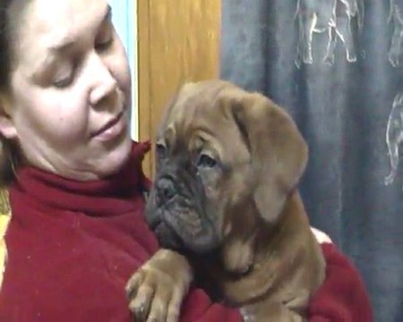 Kanon de L'Exigence (9 semaines ) Crack/Sévilla