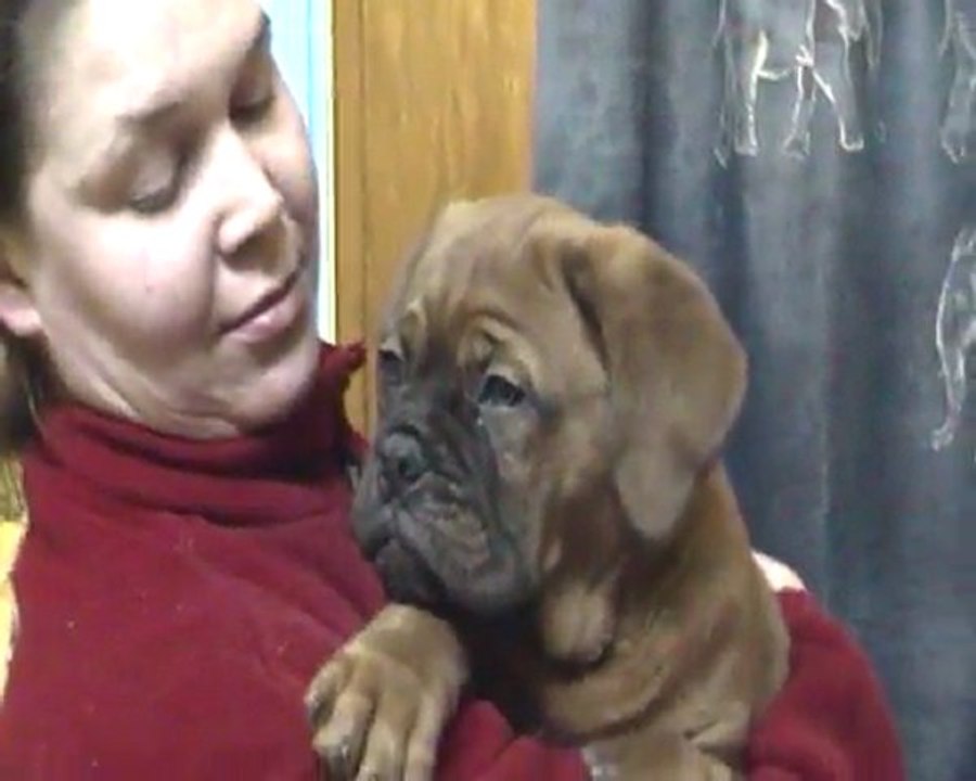 Kanon de L'Exigence (9 semaines ) Crack/Sévilla