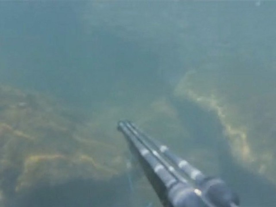 Spearfishing