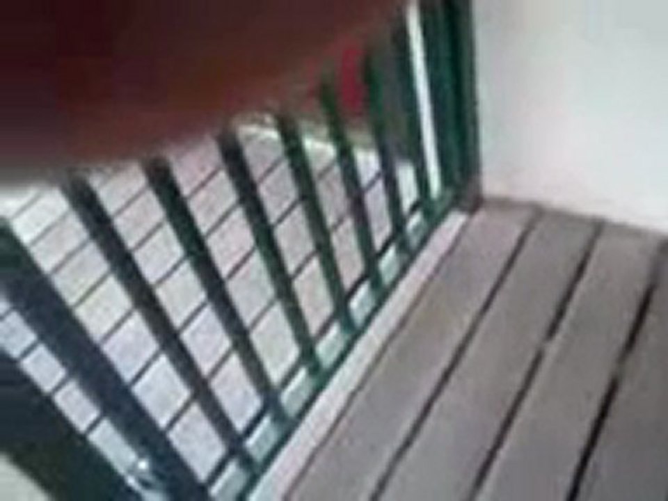 LA GENDARMERI JE PORTE PLANTE OK.