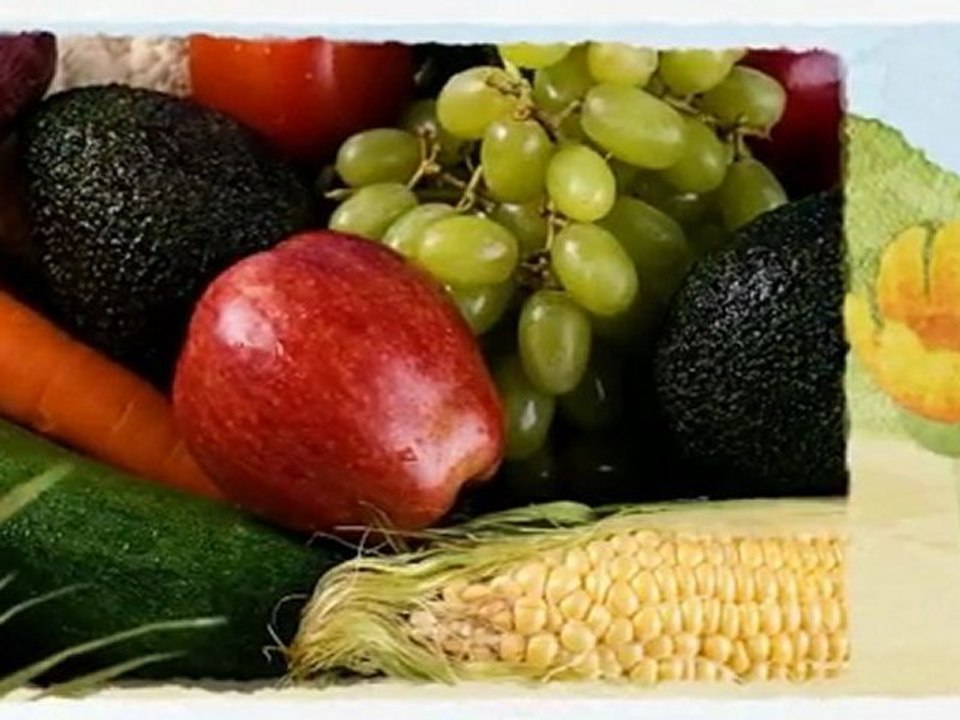 Go Organic | Environmental Education