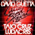 David Guetta feat Taio Cruz - Little Bad Girl (Dj Brice-Dj Jam)