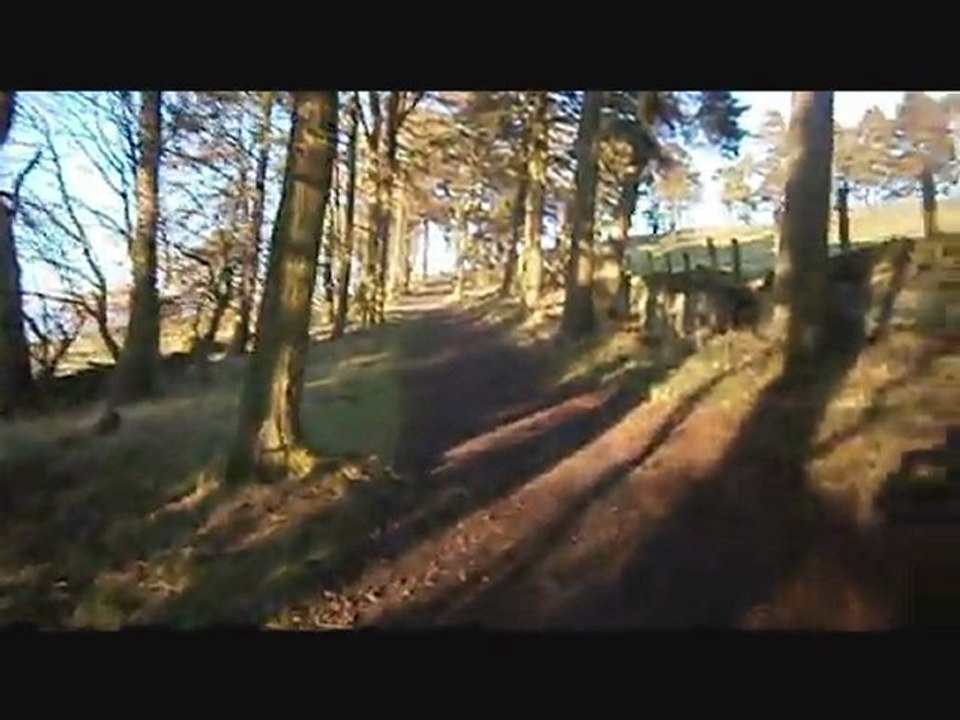 Balmashanner Walk For Buzz 2012