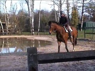 un quack galop à droite et retour au calme